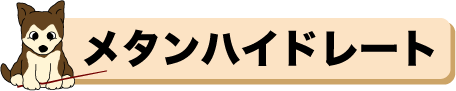 メタンハイドレート