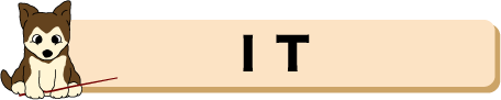 IT